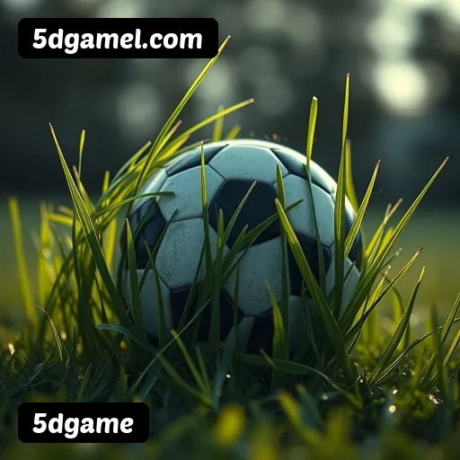 Vantagens exclusivas 5dgame para jogadores brasileiros - São Paulo, Rio, BH